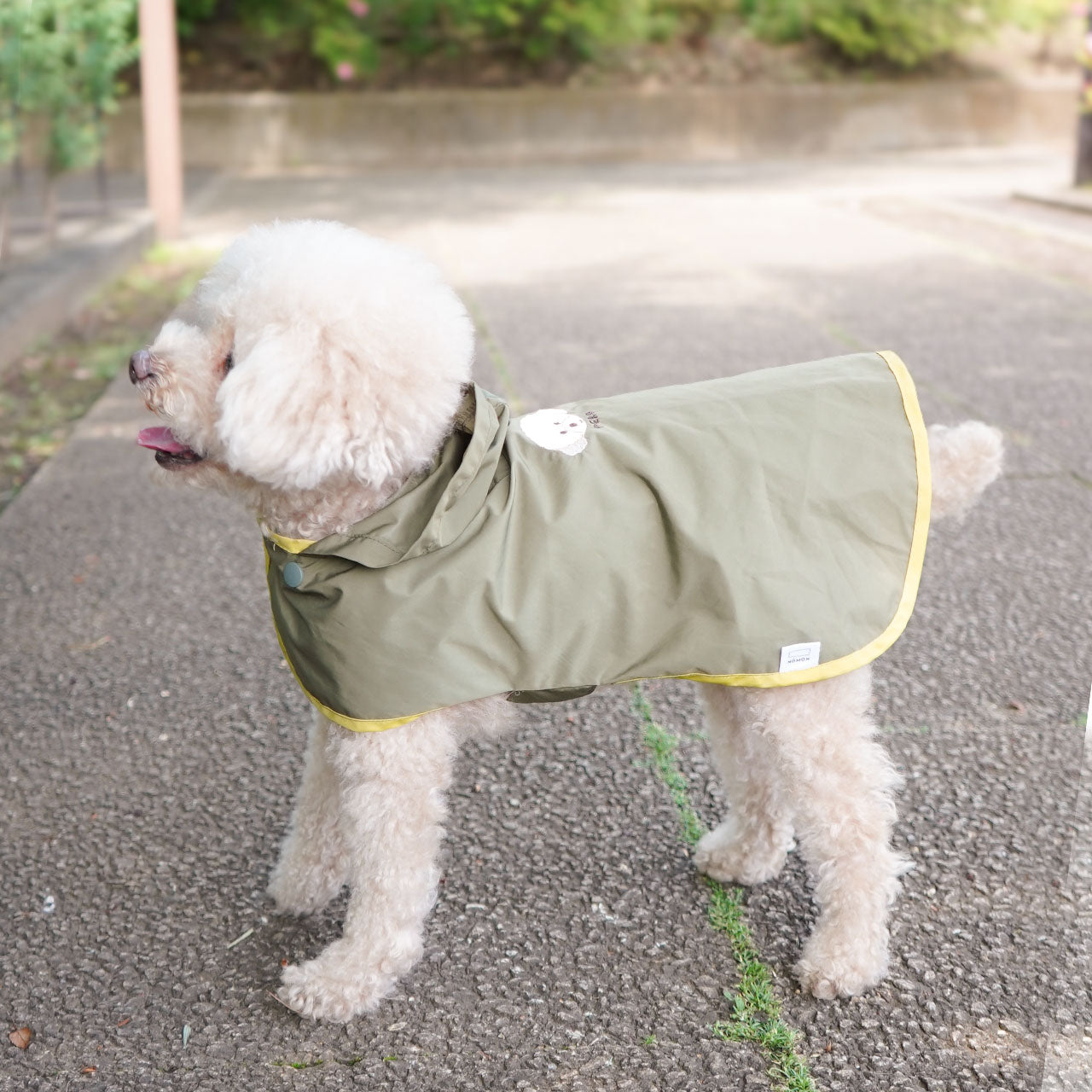 小型犬用 レインコート