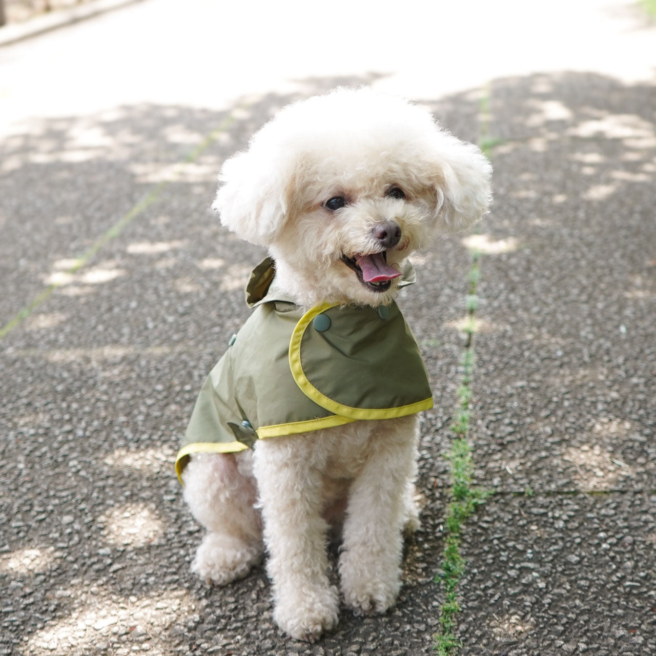 小型犬用 レインコート