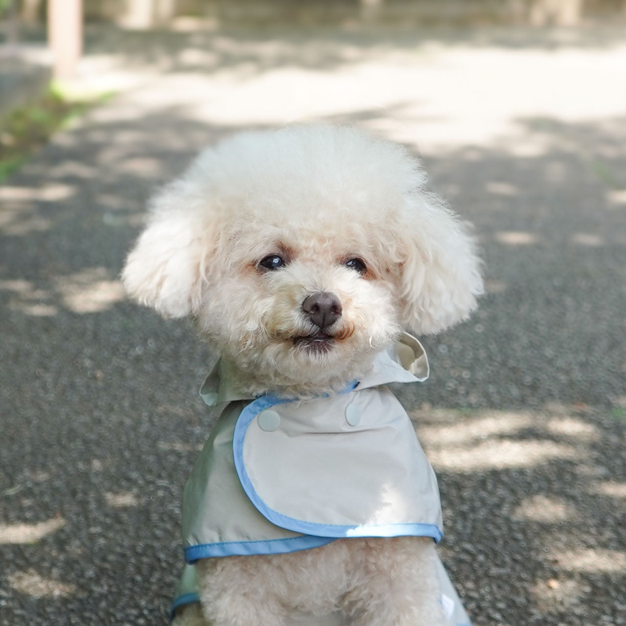 小型犬用 レインコート