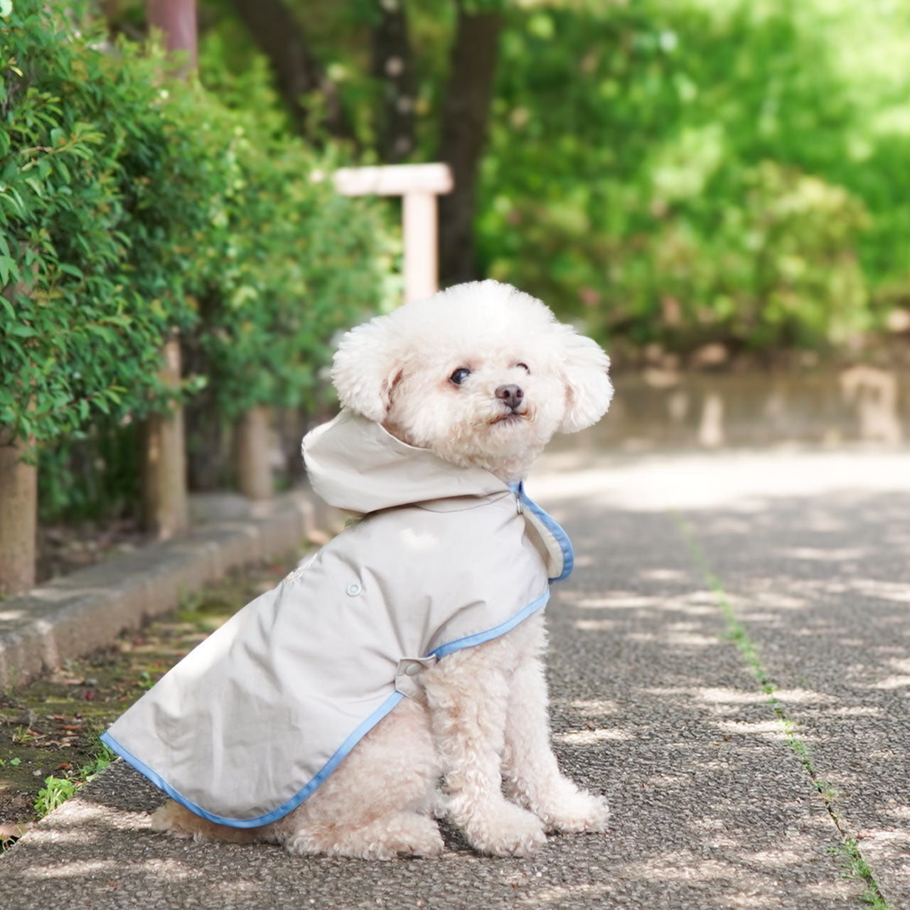 小型犬用 レインコート