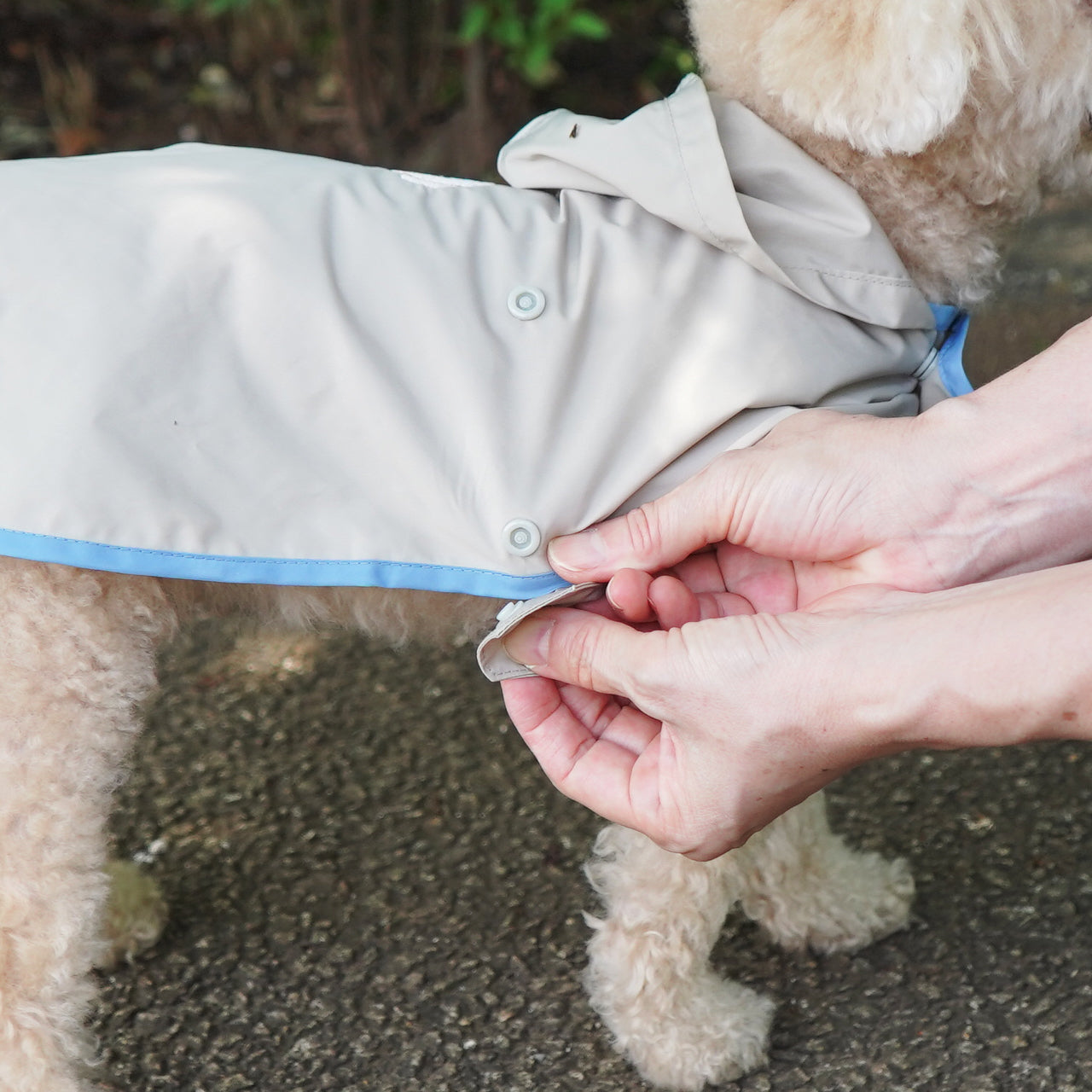 小型犬用 レインコート