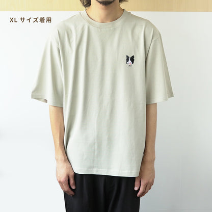 basic T-shirts